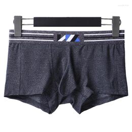 Underpants Men's Ice Silk Flat Corner Pants Youth Fashion Gun Egg Split Two Room One Hall Elephant Nose Sexy Quadrangle