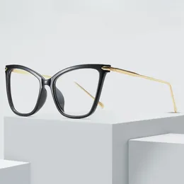 Sunglasses Frames Women Fashion Transparent Glasses Frame Cat Eye Clear Eyeglasses Female Spectacle