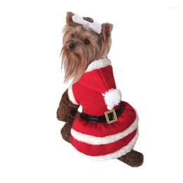 Dog Apparel Cute Red Christmas Style Pet Dogs Dress By CPAM Small Puppy Clothing