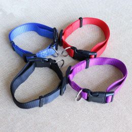 New Fashion Nylon dog collars for small dogs Pet Cat Collar 4 Sizes 4 Colours adjustable dog collar nylon wholesale ZZ