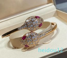 sterling silver bangle for women charm bracelets double snake fashion Jewellery