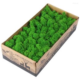 Decorative Flowers 24-color Immortality Flower Diy Material Package Plant Wall Moss Boxed Imported Dried 500g