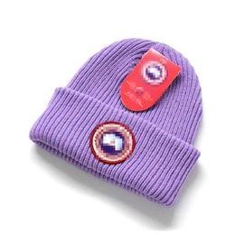 2023 new e-commerce foreign trade for factory direct spot knitted hats men's wool hats ladies double thickening.