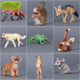 Action Toy Figures Simulated Wildlife Zoo Wolf Monkey Colour Changing Dragon Pan Ancient Forest Squirrel Qinqila Donkey Sloth Model Digital Aeon 230410