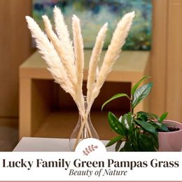 Decorative Flowers 15PCS Pampas Grass Decor Boho Home Bouquet Natural Fluffy Dried Wedding Floral Arrangements Wall Room Table