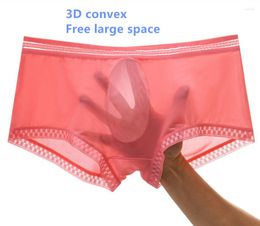 Underpants 3D Lace Sexy Men Underwear Translucent Ice Silk Cueca Boxer Hombre Pants One-piece Youth Briefs Gay Boxers Cuecas