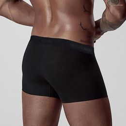 Underpants Quality Men's Underwear Boxer Breathable Men Trunks Gay Penis Pouch Sleepwear Short Cuecas Lingerie