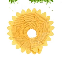 Dog Collars Removable Pet Elizabeth Sunflower Shape Neck Collar For Puppy Wearing Size XL