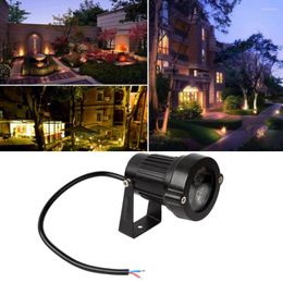 Lawn Lamps Waterproof Outdoor Lighting 12V 3W Garden Light With Spike Warm/Cold White