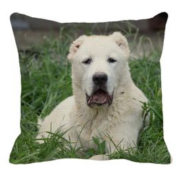 Pillow /Decorative 45cmx45m Cute Pet Dog Central Asian Pattern Linen Decoration Pillowcase Cover Sofa Waist PC008/Deco