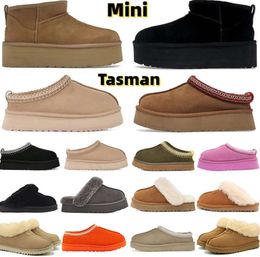 2023 Tasman Tazz Slippers Boots Chestnut Fur Slides Sheepskin Shearling Mules Women Men Ultra Mini Platform Boot Slip-on Shoes Suede Comfort Fall Winter Booistanti