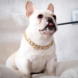 Dog Collars Adjustable Cat Punk Chain Collar Lead Wide Necklace Pet Accessory
