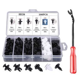 New Auto Fastener Clip Mixed Car Body Push Retainer Pin Rivet Bumper Door Trim Panel Fastener Kit Car Clips Box or Bag packaging