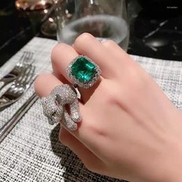 Cluster Rings Luxury 925 Silver French Retro Temperament Emerald Color Treasure Open Leopard Index Finger Ring Set For Women Fine Jewelry