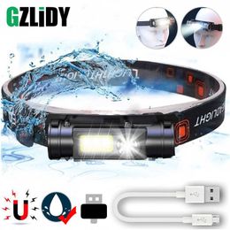 Head lamps Waterproof LED Headlamp Mini COB Work Light USB Rechargeable 18650 Headlight Lantern 2 Mode Head Lamps with Magnet Fishing Torch P230411