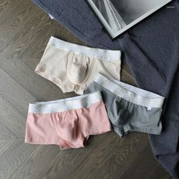 Underpants 3pcs/lot MENCCINO Men's Underwear Cotton Boxer Shorts Sports Breathable U Convex Bag Comfortable Fashion Head