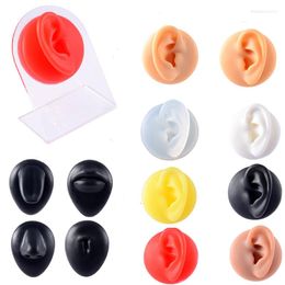 Jewellery Pouches Simulated Silicone Ear Nose Navel Nipple Model Stereoscopic Puncture Training Piercings Display Teaching Tool Stand Kit