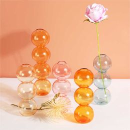 Vases Hot Nordic Glass Vase Home Small Hydroponic Plant Glass Bottle Living Room Decor Dried Flower Decoration Transparent Flower Vase P230411