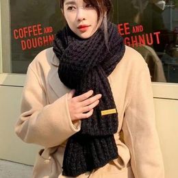 Scarves Women Scarf Fashion Comfy Winter Solid Colour Long Warm Shawl Costume Accessories