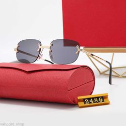 Champagne Brown Frame Sunglasses Designer Glasses for Women Mens Rimless Metal Frame glass