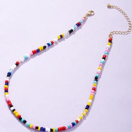 Choker Coloured Glass Rice Bead Necklace Fashion Simple Clavicle Chain For Women
