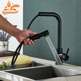 Kitchen Faucets Pull Out Sink Faucet 2 Function Spout Taps Rotation Deck Mount Stainless Steel Cold Water Mixer Washing Crane 230411