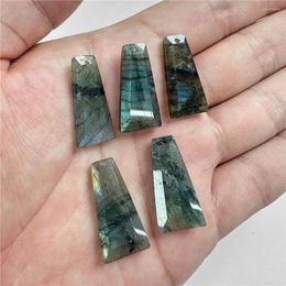 Pendant Necklaces Natural Labradorite Stone Crystal Quartz Energy Charm For Necklace Pendulum Jewellery Making Wholesale