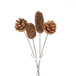 Decorative Flowers Natural Dried Hardcore Pine Cone Shooting Props Home Furnishings Manual Production