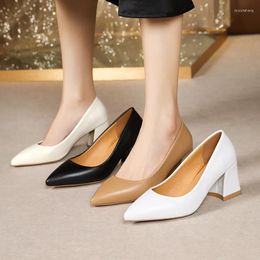 Dress Shoes White Square Heels Mary Jane Lolita For Women Slip On OL Pointed Toe Pumps Ladies Vintage Beige Leather Mujer