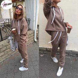 Women's Two Piece Pants 2023 Fashion Tracksuit Long Sleeve Thicken Hooded Sweatshirts 2 Set Casual Sport Suit Women