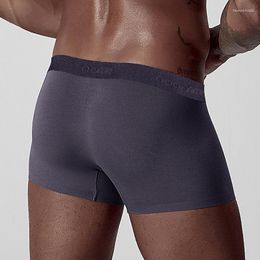 Underpants Breathable Men Underwear Men's Boxer Trunks Gay Penis Pouch Sleepwear High Quality Short Cuecas Lingerie