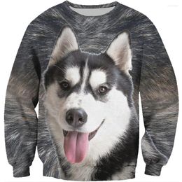 Men's Hoodies 3D All Over Printed Sweatshirt Husky X-mas Gift Pullover Spring/Autumn Unisex Long-sleeved Round Neck Wholesale