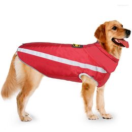 Dog Apparel 2023 Big Clothes Autumn And Winter Golden Retriever Large Pet Clothing Reflective Warm Thermal Dogs Jacket