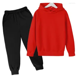 Clothing Sets 2023 Children's Sweater Suit Pants Solid Color Fleece Jacket Boys And Girls Baby Hooded