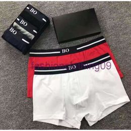 2pcs Mens Underwear Underpants Boxer Organic Cotton Shorts Modal Sexy Gay Male Boxers Breathable New Mesh Man Underwear Asian Size M-XXL