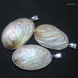 Pendant Necklaces Saltwater Shell Pendants Seawater Charms Beads Collection For Necklace Making Accessories