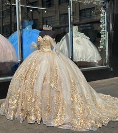 Luxury Champagne Quinceanera Dresses With Gold 3D Floral Flowers Appliques Lace Princess Ball Gown Sweet 16 Dress Off The Shoulder Back Lace-Up Prom Brithday Wear