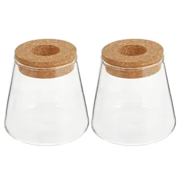 Vases Eco Bottle Desktop Glass Decoration Home Hydroponics Container Garden Floral Pots For Plants