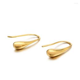 Hoop Earrings Water Drop Ear Hook Personality Creative Titanium-plated Steel Shape Earring Jewelry