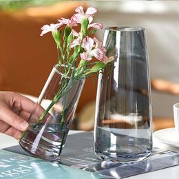 Vases Nordic glass bottle for flowers indoor plant glass decoration desktop Transparent glass vase grey home Flower vase for decor P230411