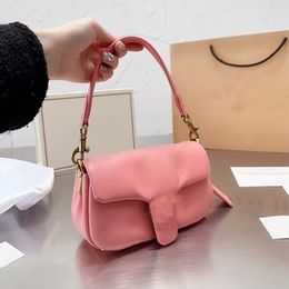 Woman Pillow Tabby Bags Sheepskin Designer C's Bag Cloud Handbag Soft Leather Baguette Fashion Shoulder Bag Mini Flap Cloud Bag Purse Woc Luxury Wallets Two Size