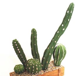 Artificial Lifelike Succulents Cactus Multi Type Plastic Plant Garden Miniature Cactus DIY Home Living Room Office Decoration1205R