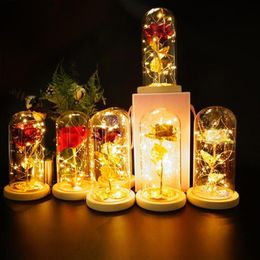2021 LED Enchanted Galaxy Rose Eternal 24K Gold Foil Flower With Fairy String Lights In Dome For Christmas Valentine's Day Gi245w