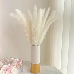 Decorative Flowers Bulrush Natural Dried Artificial Plants Branch Colorful INS Pampas Grass Phragmites Fake Flower Wedding Home De301e