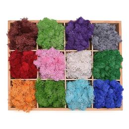 Decorative Flowers & Wreaths DIY Flower Material Artificial Plant Moss Muscus Mini Garden Micro Landscape Accessories Home Wedding2551