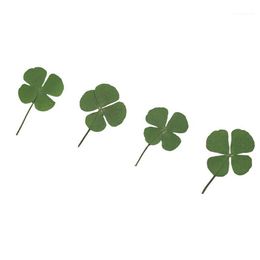 Decorative Flowers & Wreaths 250pcs Pressed Dry Four-Leaf Clover Leaf Plant Pendant Necklace Jewelry Production Process Diy Access271I