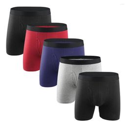 Underpants Mens Boxers Sexy Lingerie Boxer Briefs Long Bokserki Meskie Underwear Ropa Interior Hombre Cotton Panties Shorts