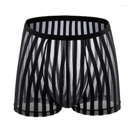 Underpants Sexy Men Panties Transparent Mesh Underwear Striped Ultra-thin Boxer Shorts For Erotic Boxershorts