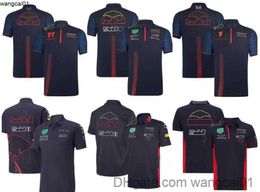 Men's T-Shirts F1 racing polo suit 2023 summer team lapel T-shirt same sty customization 412&3