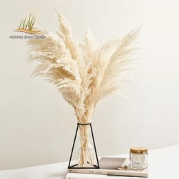 Pampas Grass Decor White Colour Fluffy Natural Dried Flowers Bleached Bouquet Boho Vintage Style for Wedding Home Christmas Decor 2238C